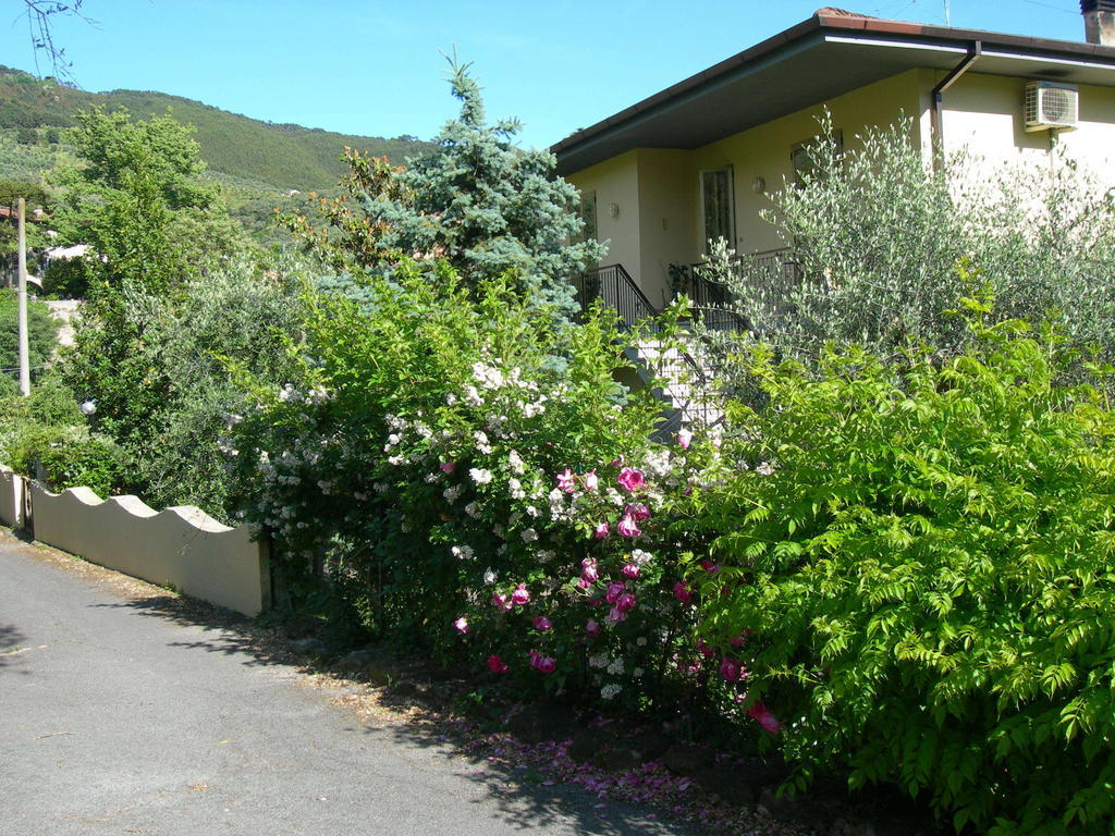 Villa Gli Olivi Calci Zimmer foto