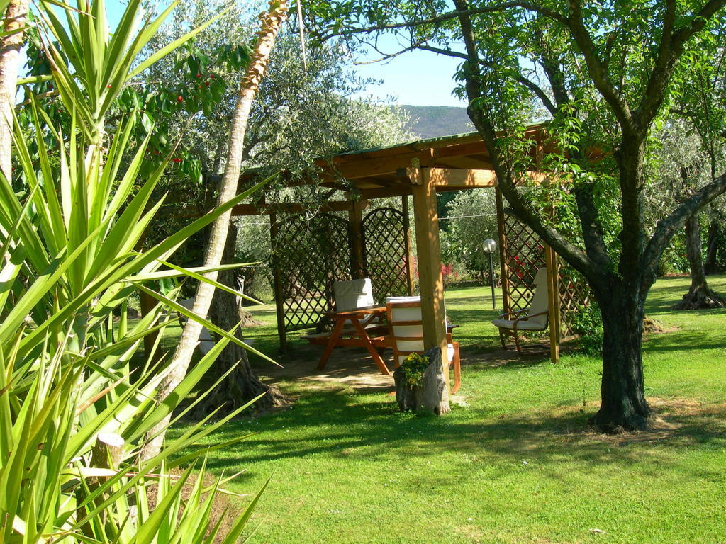Villa Gli Olivi Calci Exterior foto