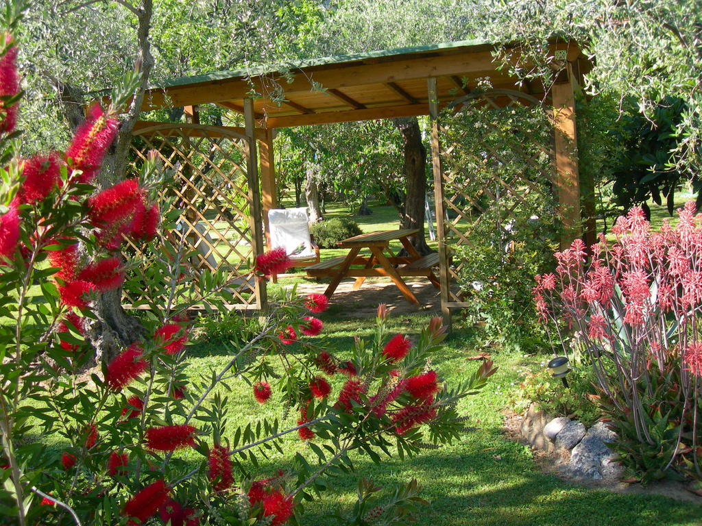 Villa Gli Olivi Calci Zimmer foto